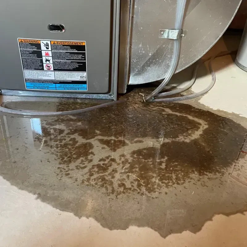 Appliance Leak Cleanup in Catlin, IL